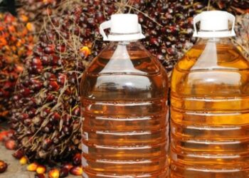 Biskuit Eropa Kembali Gunakan Minyak Sawit