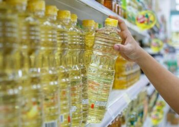 Pengusaha Sarankan BUMN Kuasai Kebun Sawit RI Biar Minyak Goreng Murah