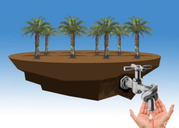 Tinggal 1 Bukti Lagi, Pelaku Kartel Minyak Goreng Bakal Disidang!