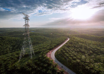 Minyak sawit sebagai minyak nabati berkelanjutan terbesar di dunia