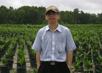 Mengenal Maruli Pardamean, Si Penulis 8 Buku Kelapa Sawit