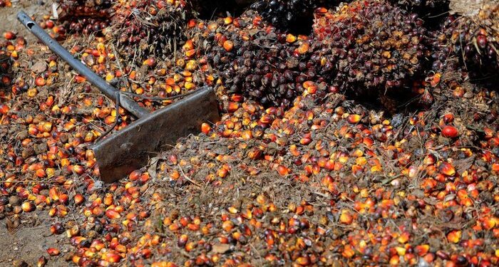 “Indonesia Siap Jadi Barometer Sawit Dunia, PTPN III Dorong Bursa CPO Dalam Negeri”