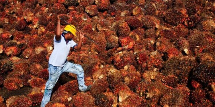 “Transparansi Harga Sawit: Ekspor CPO Segera Diwajibkan Lewat Bursa Berjangka”