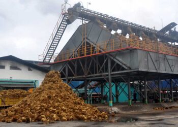 Nextgreen Ubah Tandan Kosong Kelapa Sawit Jadi Bubur Kertas