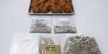 Tandan Kosong Sawit Tak Lagi Sekadar Limbah, BRIN Kembangkan Teknologi Boiler Biomassa