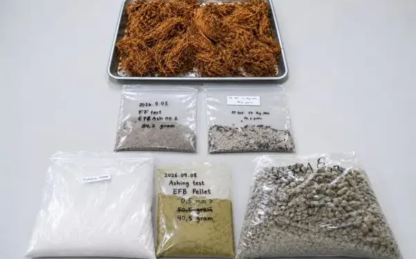 Tandan Kosong Sawit Tak Lagi Sekadar Limbah, BRIN Kembangkan Teknologi Boiler Biomassa